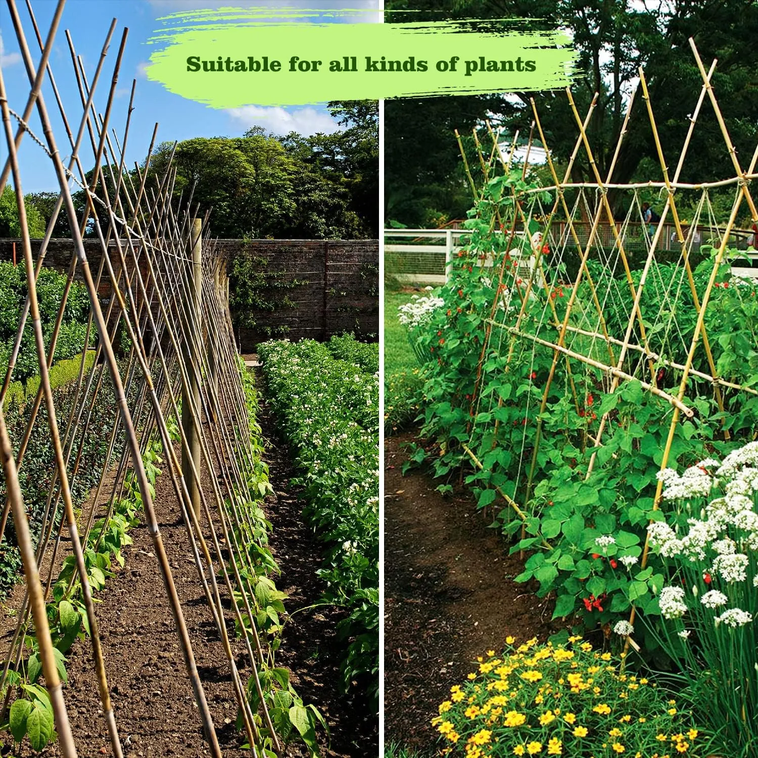 25pcs 1/2" D Thicker Heavy Duty Bamboo Stakes, 4FT Plant Stakes, Natural Garden Stakes for Tomato, Bean, Flowers,Trees Potted and Climbing Plant Support