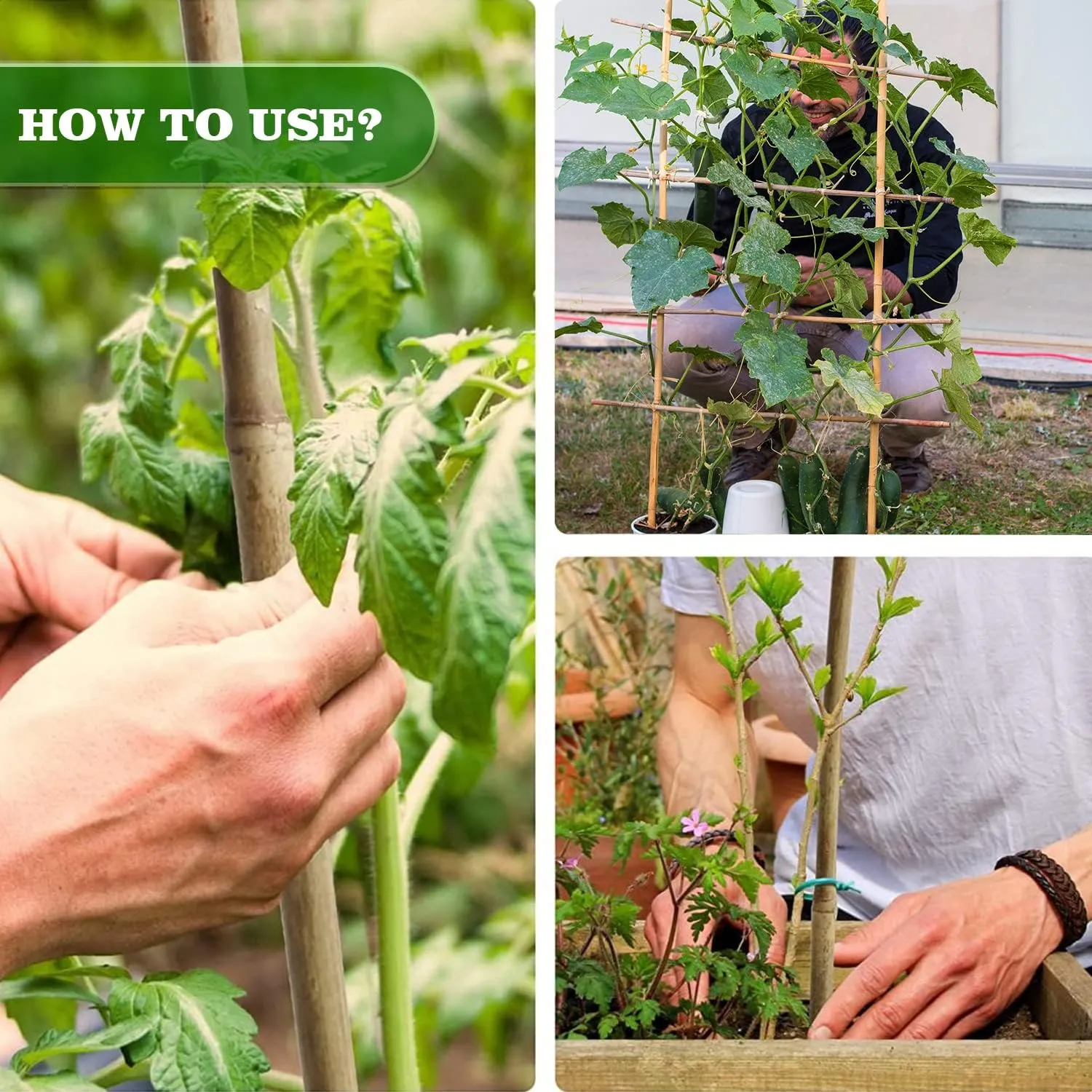 25pcs 1/2" D Thicker Heavy Duty Bamboo Stakes, 4FT Plant Stakes, Natural Garden Stakes for Tomato, Bean, Flowers,Trees Potted and Climbing Plant Support