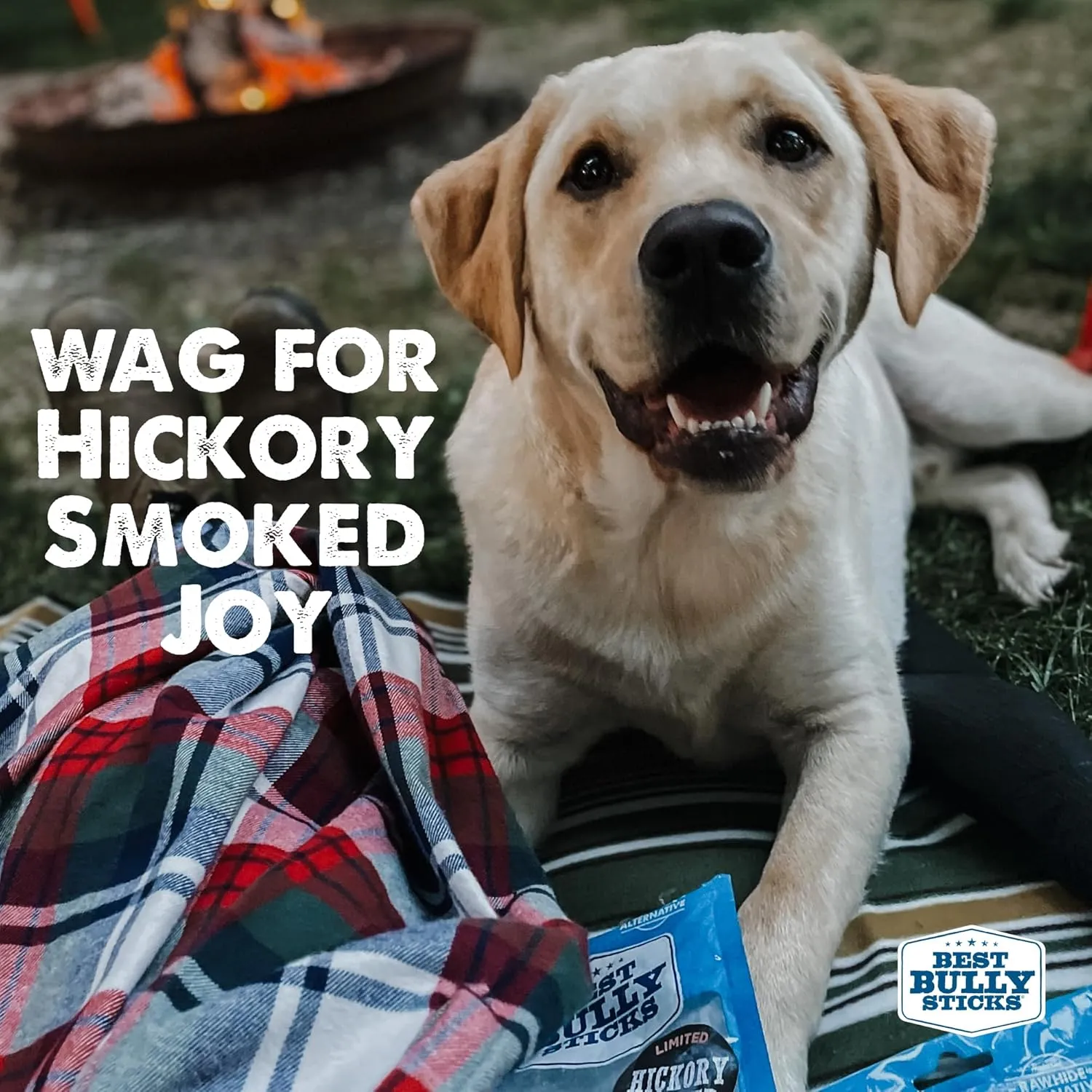 Best Bully Sticks Hickory Smoked Marrow Bones - 3 Count (Pack of 1) - No Additives, Long-Lasting, Great for Large Breeds
