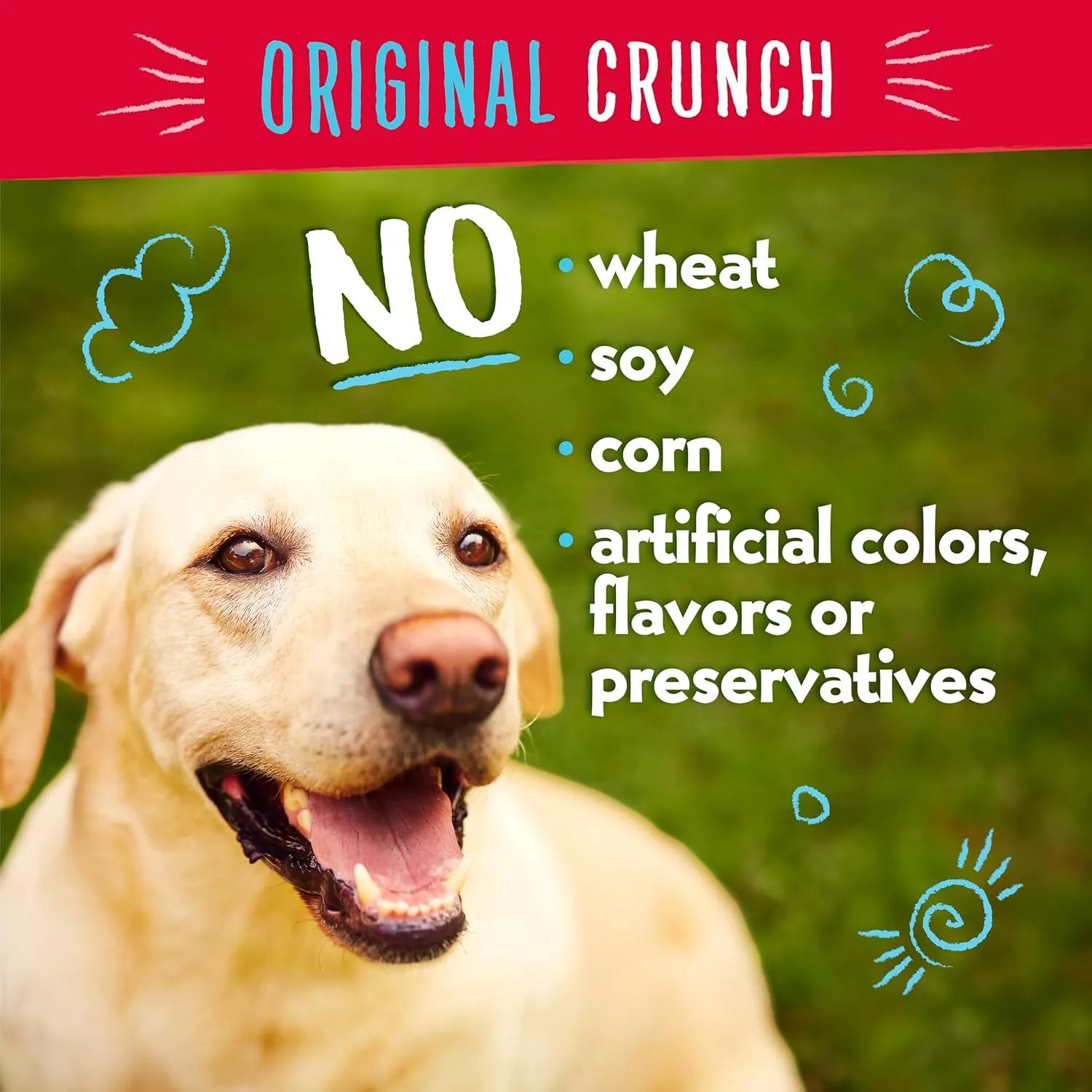 Charlee Bear Original Crunch Turkey Liver & Cranberries Dog Treats, 16 oz (3-Pack) - Made in the USA Natural Training Treats for Dogs