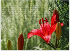 Jigsaw Puzzles 500 Pieces for Adult Red Lily Dew Drops Garden Gardening Puzzle Game for Family Wooden Puzzle Toy Educational Games Puzzles for Home Decor