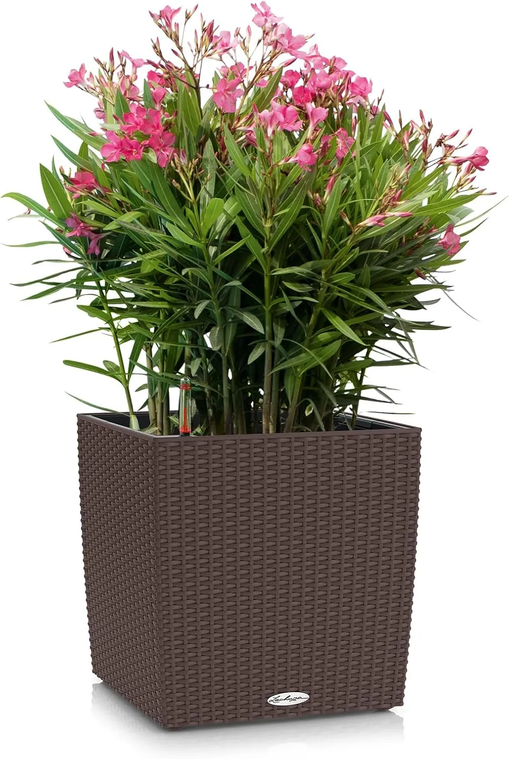Lechuza 15375 Cube Cottage 30 Mocha Wicker Planter