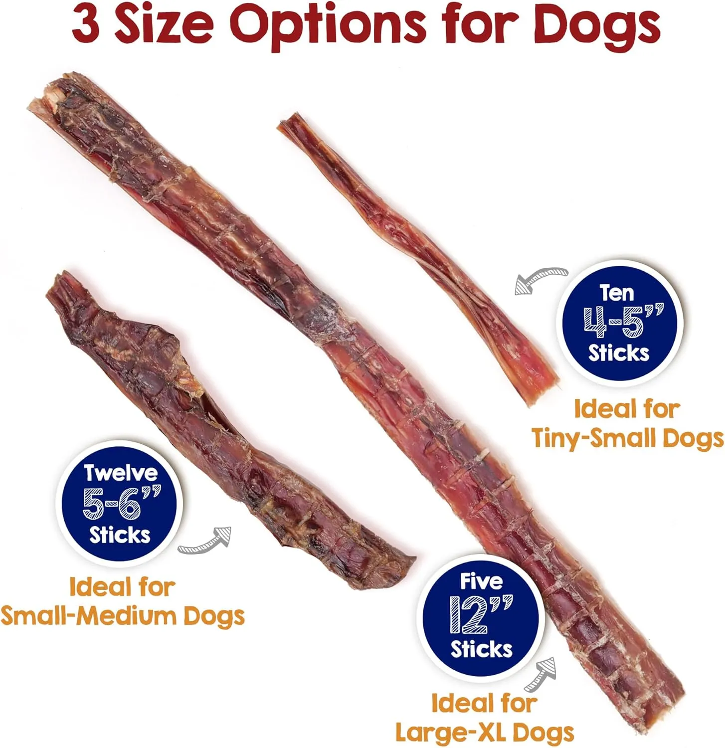 Riley's Steer Bully Sticks for Large to XL Dog Breeds - Odor Free, Single Ingredient Treat - Easily Digestible, 100% Beef Pizzle Sticks for Dogs - 12", 5ct