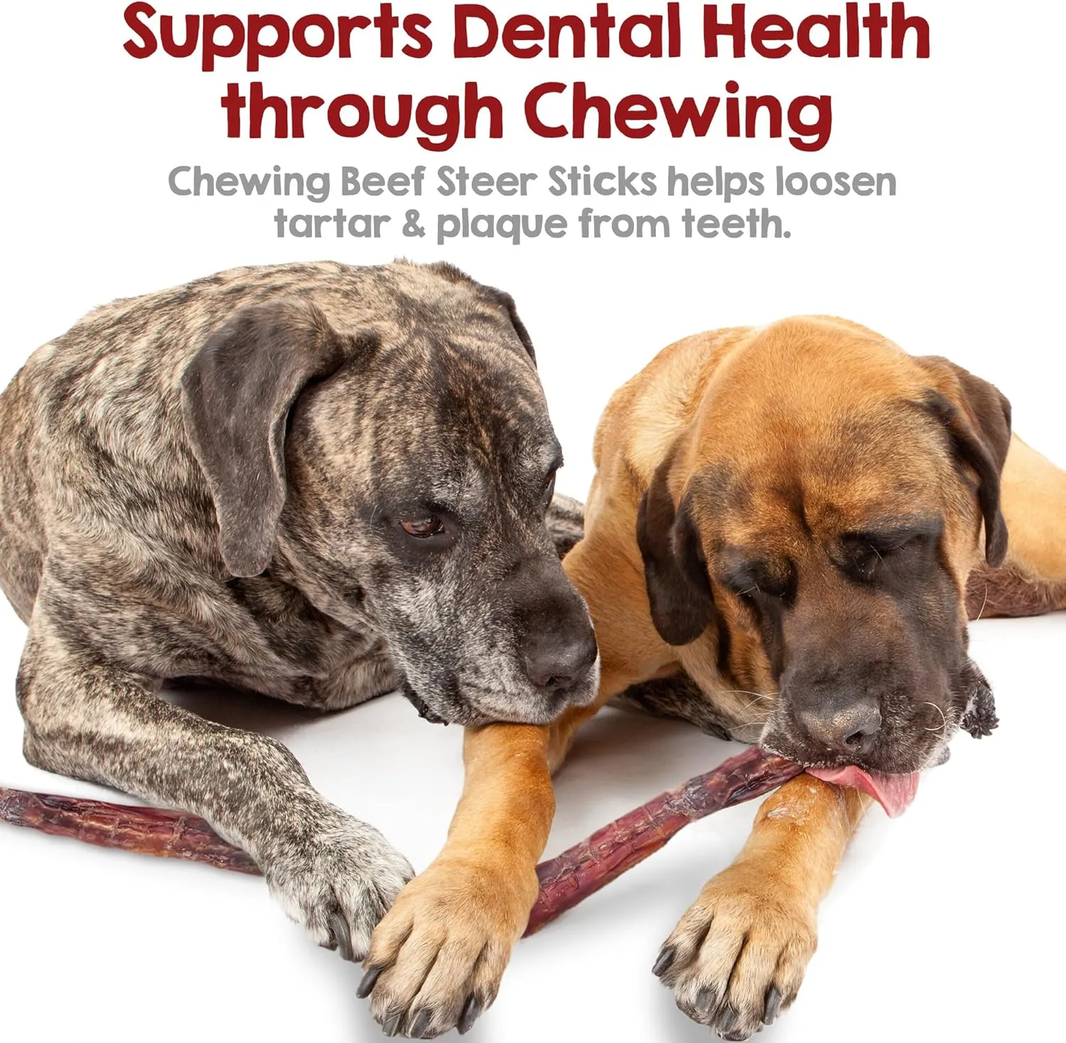 Riley's Steer Bully Sticks for Large to XL Dog Breeds - Odor Free, Single Ingredient Treat - Easily Digestible, 100% Beef Pizzle Sticks for Dogs - 12", 5ct